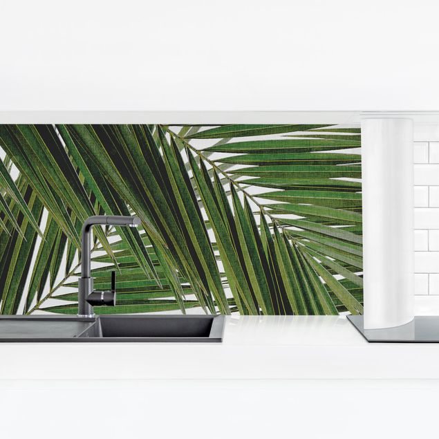 revestimento para cozinha View Through Green Palm Leaves