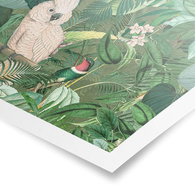 Quadros verdes Vintage Collage - Kakadu And Hummingbird