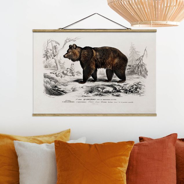 Quadros ursos Vintage Board Brown Bear