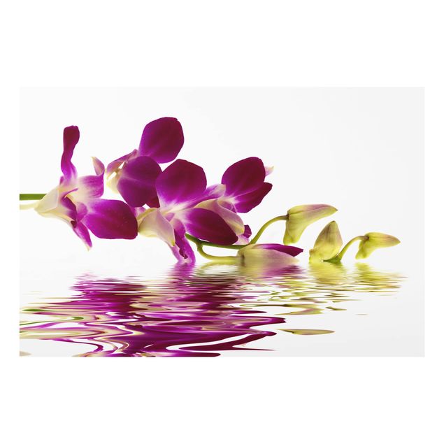 Painel anti-salpicos de cozinha Pink Orchid Waters