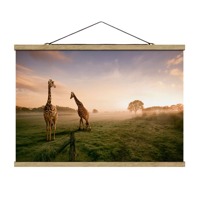 Quadros natureza Surreal Giraffes