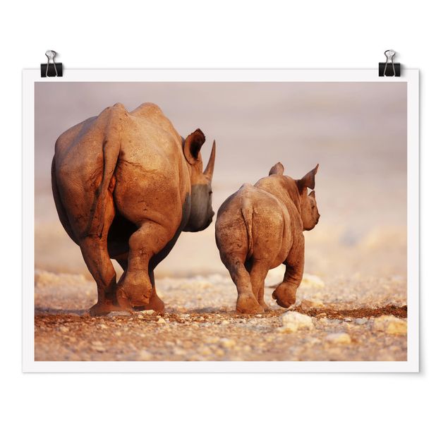 quadros decorativos para sala modernos Wandering Rhinos