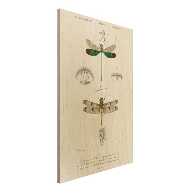 decoraçao cozinha Vintage Board Dragonflies