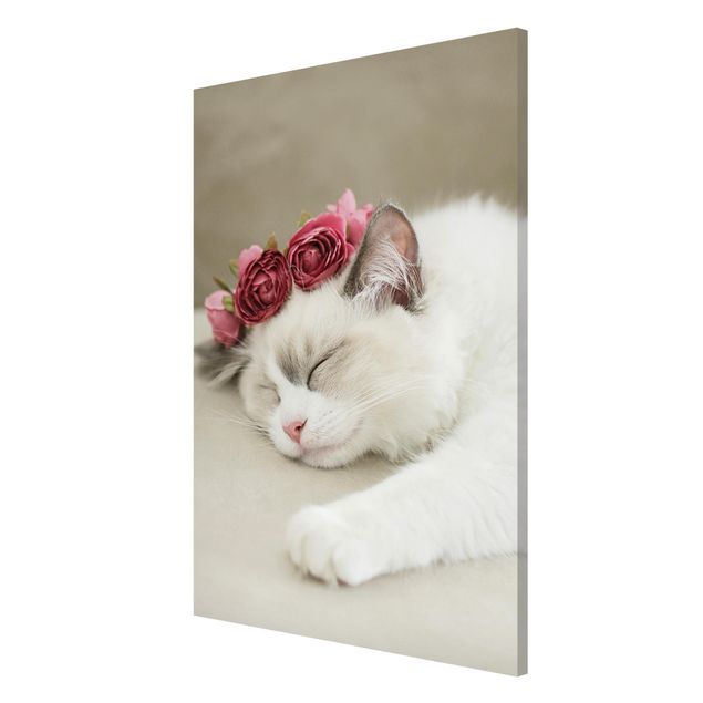 Quadros magnéticos flores Sleeping Cat with Roses