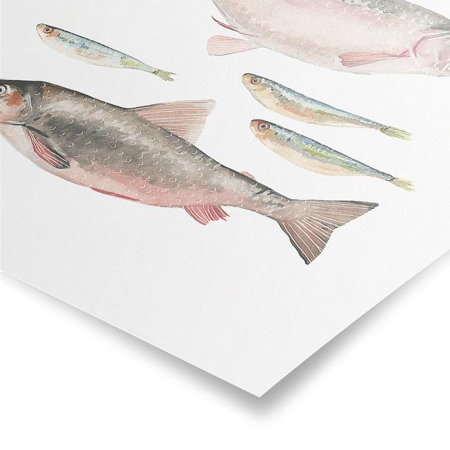 Quadros animais Seven Fish In Watercolour I