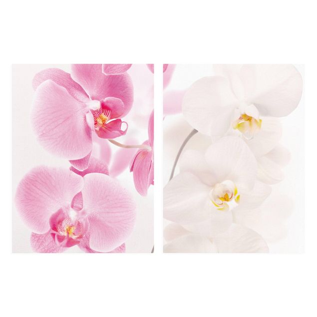 Telas decorativas flores Delicate Orchids