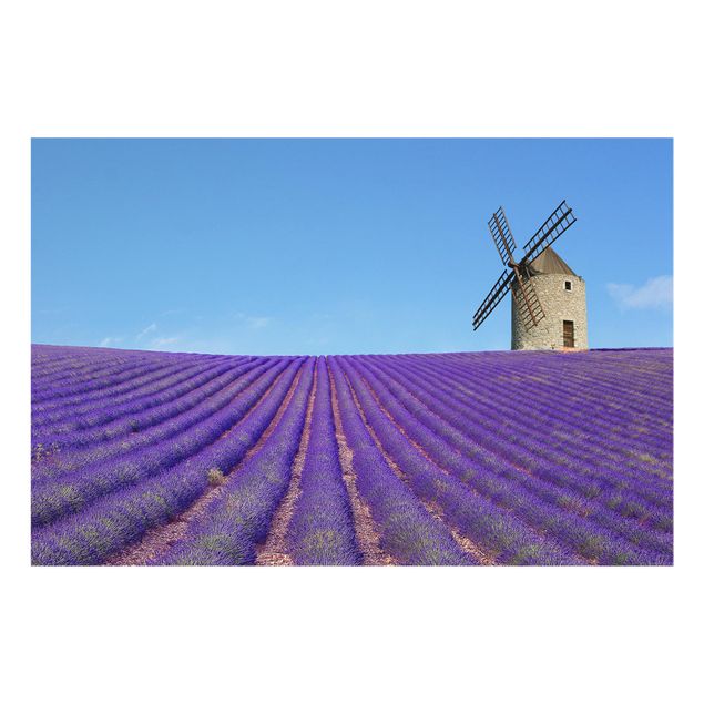 Painel anti-salpicos de cozinha Lavender Fragrance In Provence