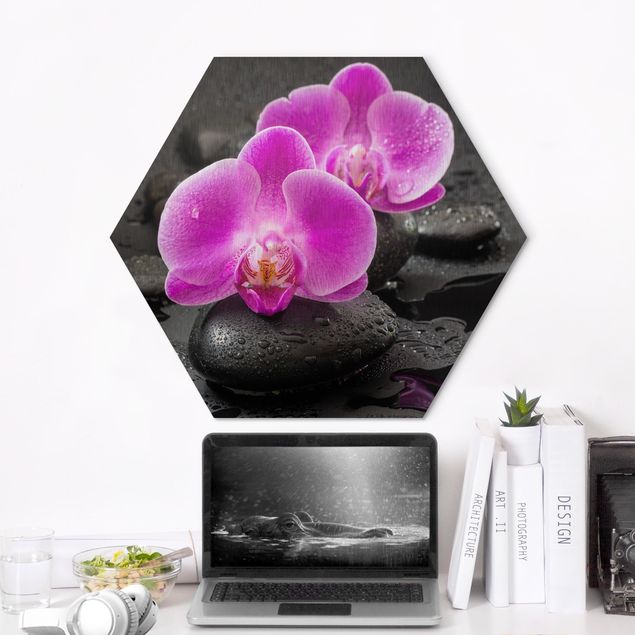 Quadros orquídeas Pink Orchid Flower On Stones With Drops