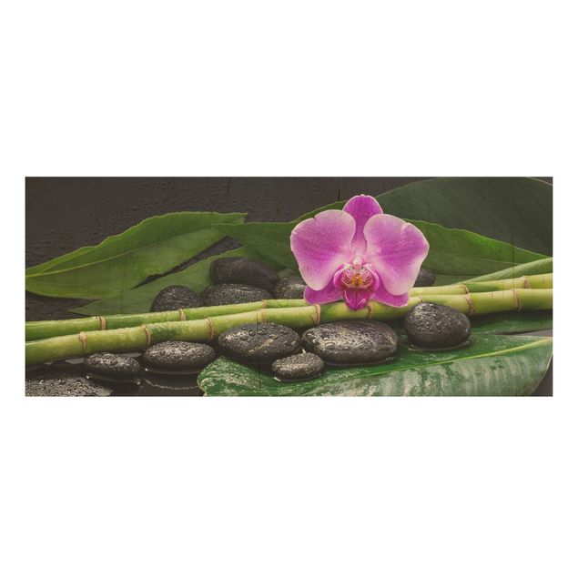 Quadros em madeira flores Green Bamboo With Orchid Flower