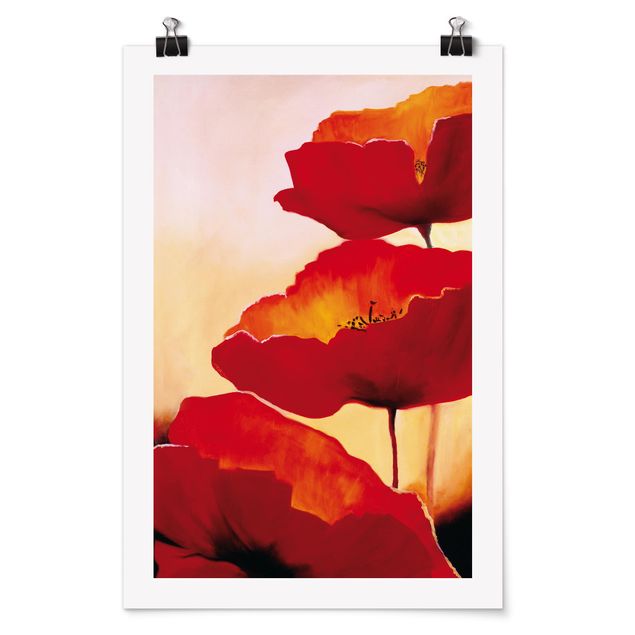 Posters flores Poppy Family
