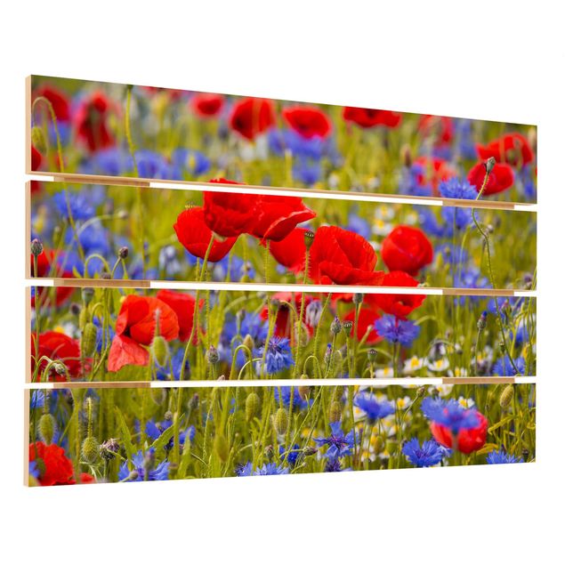 quadros em madeira para decoração Summer Meadow With Poppies And Cornflowers