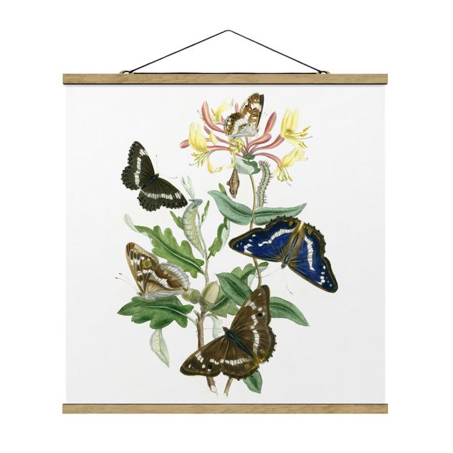 quadros flores British Butterflies IV