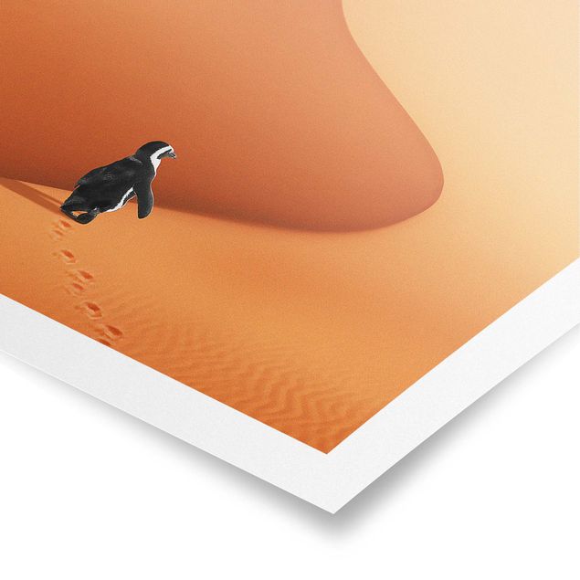 Posters paisagens Desert With Penguin