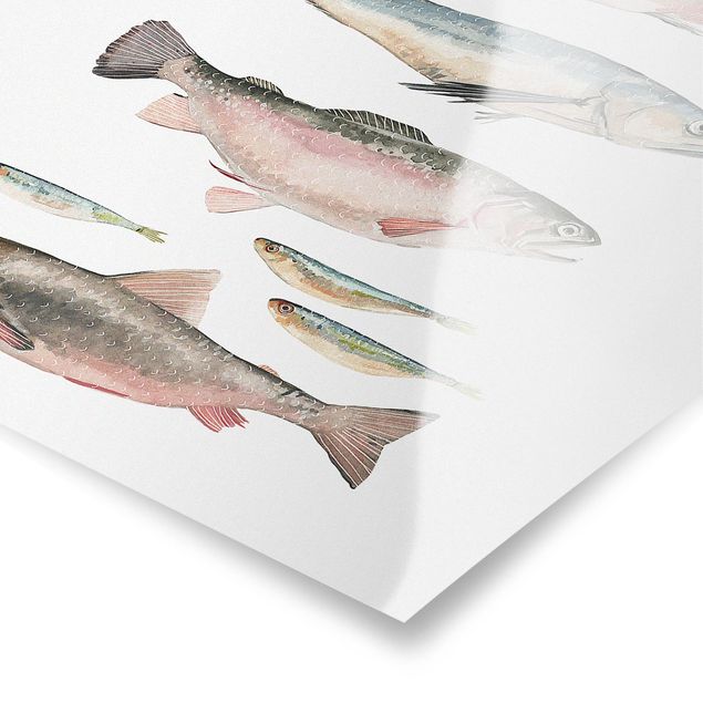 Quadros com frases Seven Fish In Watercolour I