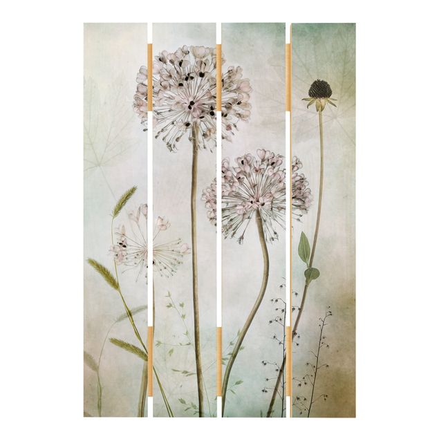 quadros para parede Allium flowers in pastel