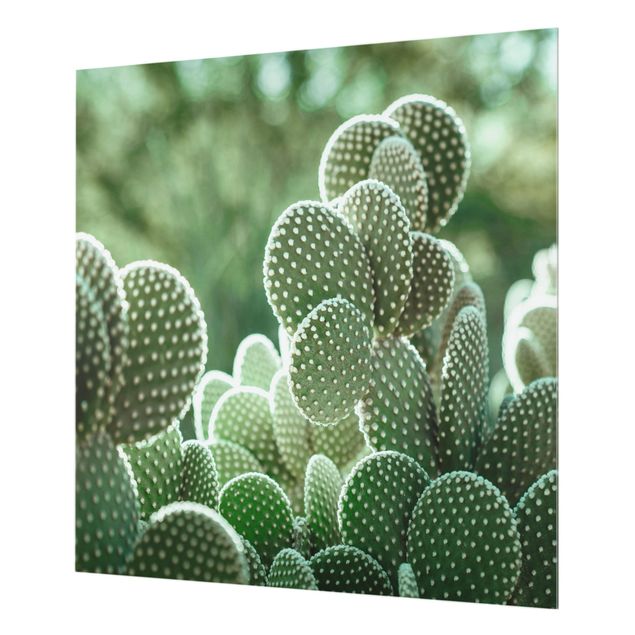 Painel anti-salpicos de cozinha Cacti