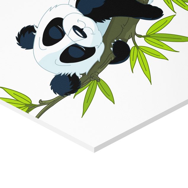 Quadros natureza Panda set