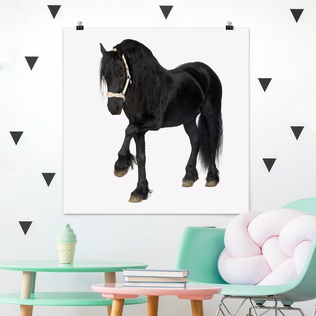 quadro de cavalo Friesian Mare