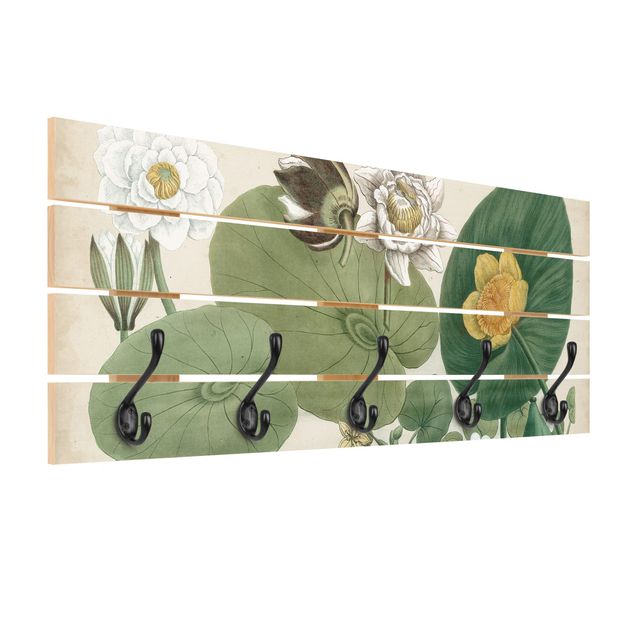 Bengaleiros de parede Vintage Board White Water-Lily