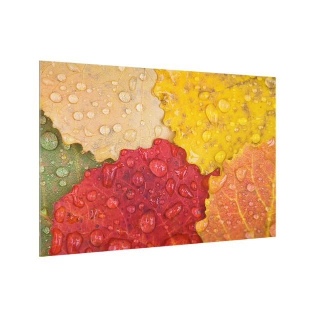 painel anti salpicos cozinha Water Drops On Colorful Leaves