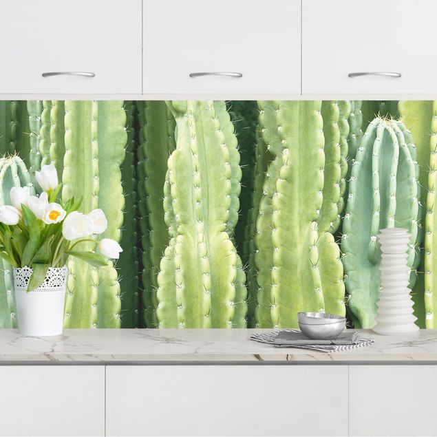 decoraçoes cozinha Cactus Wall