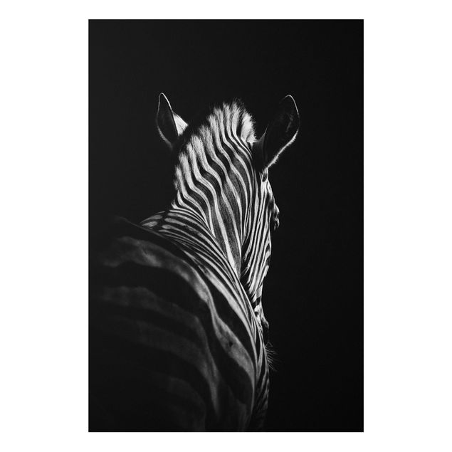 Quadros zebras Dark Zebra Silhouette