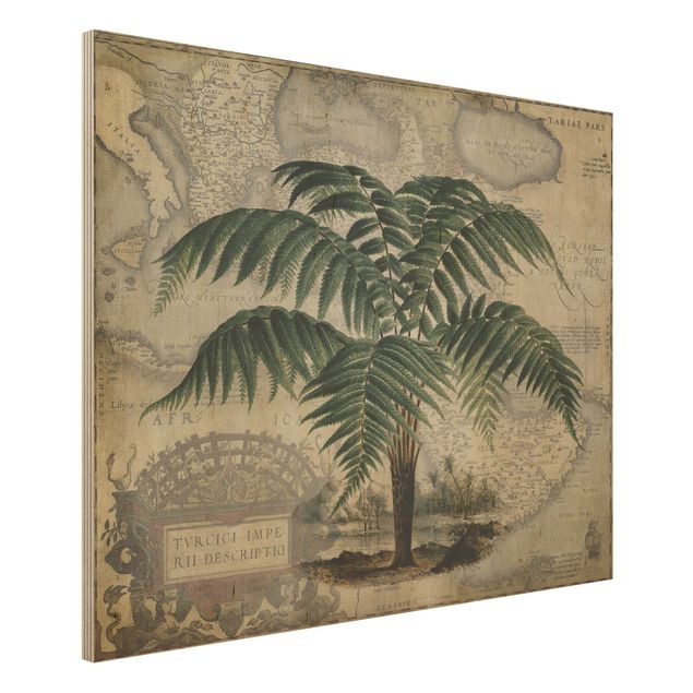 decoraçao para parede de cozinha Vintage Collage - Palm And World Map