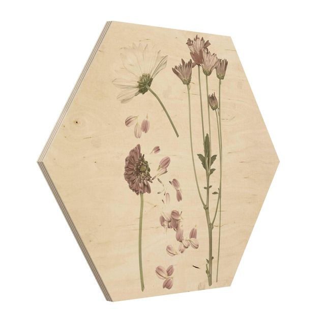 decoração quadros Herbarium In Pink II