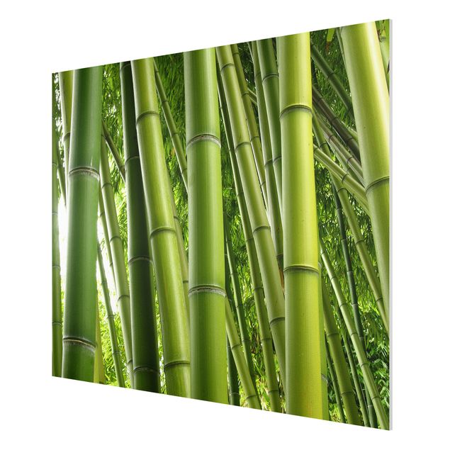 Quadros bambu Bamboo Trees No.1
