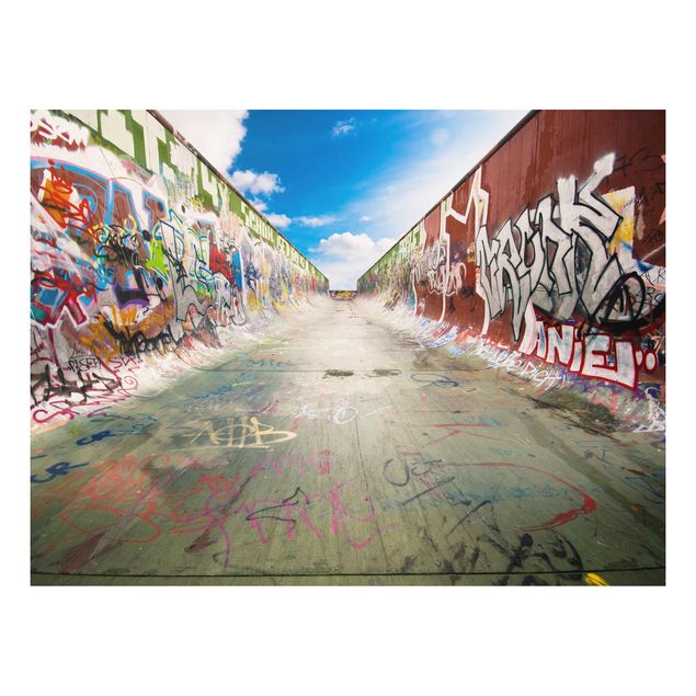 quadro em 3d Skate Graffiti