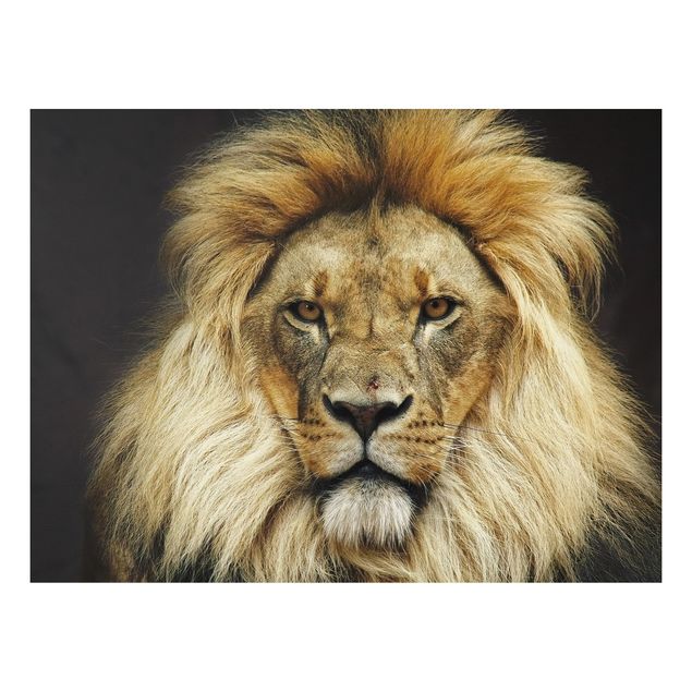 Quadros leões Wisdom Of Lion