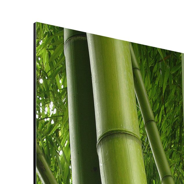 Quadros natureza Bamboo Trees No.1