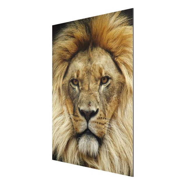 quadros modernos para quarto de casal Wisdom Of Lion