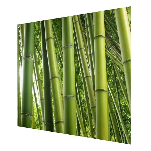 Quadros bambu Bamboo Trees No.1