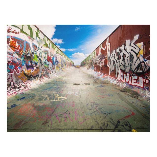 quadros 3d efeito tridimensional Skate Graffiti