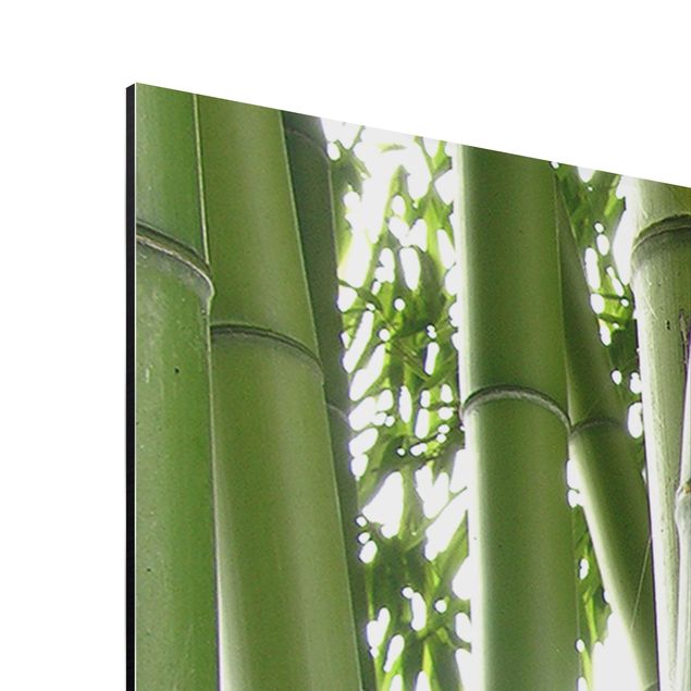Quadros natureza Bamboo Trees No.1