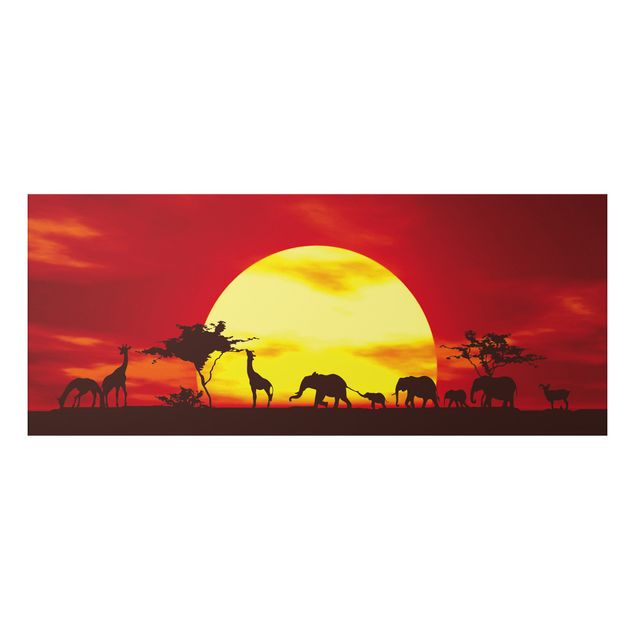 Quadros elefantes No.CG80 Sunset Caravan