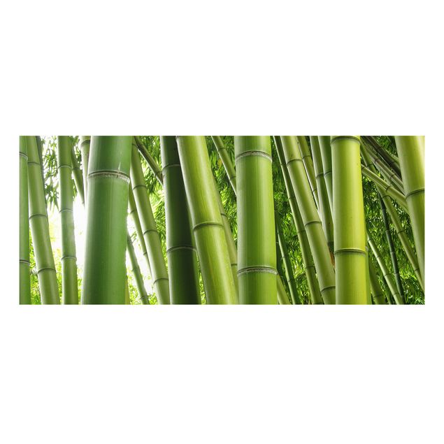 quadro de árvore Bamboo Trees No.1