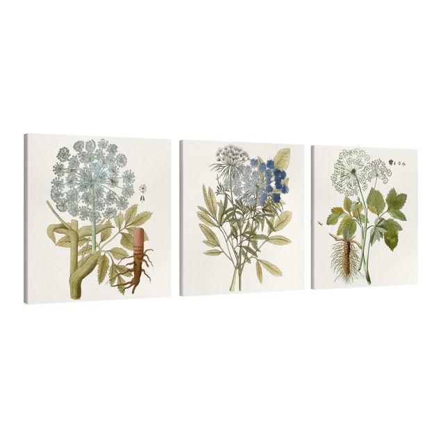 quadros de flores Wild Herbs Board Set I