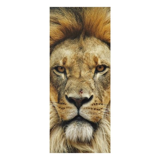 Quadros leões Wisdom Of Lion