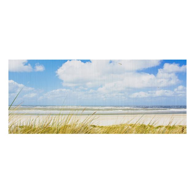 quadro com paisagens On the North Sea coast panorama