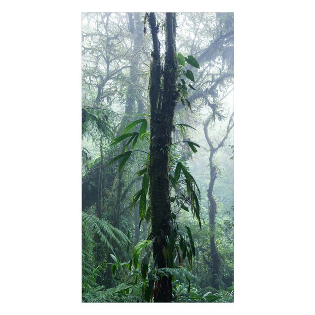 Revestimento de parede para duche Monteverde Cloud Forest