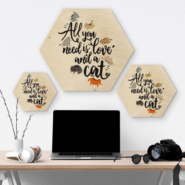 Quadros hexagonais All You Need Is Love And A Cat