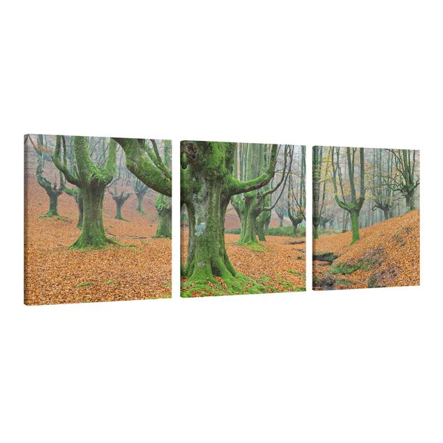 Telas decorativas paisagens Beech Forest In The Gorbea Natural Park In Spain
