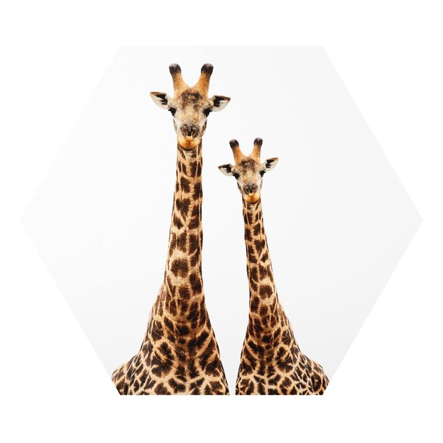 Quadros forex Portait Of Two Giraffes