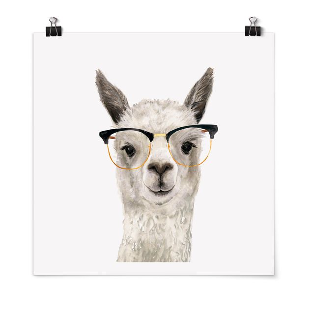 Posters animais Hip Lama With Glasses I