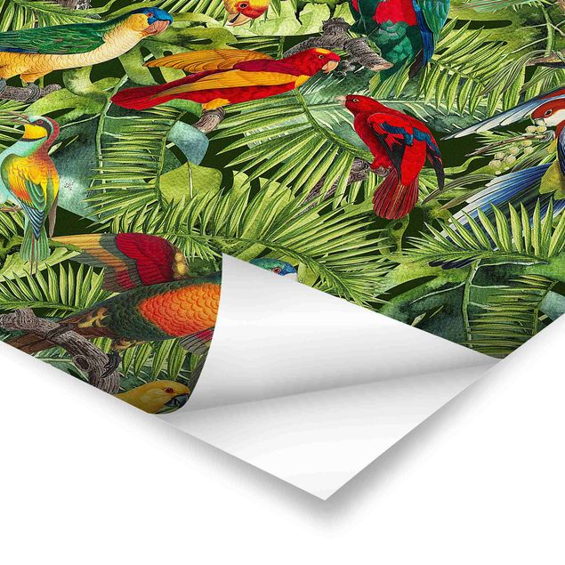 Quadros de Andrea Haase Colourful Collage - Parrots In The Jungle