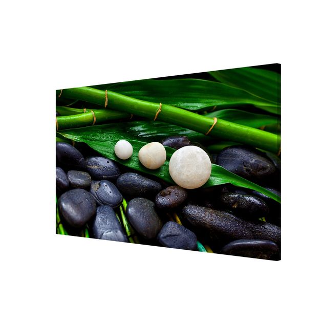 Quadros magnéticos flores Green Bamboo With Zen Stones