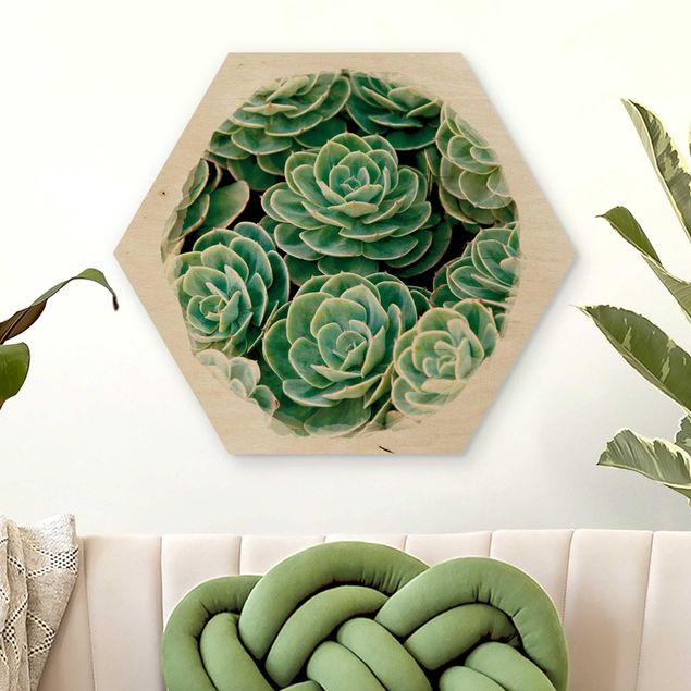 decoraçoes cozinha Water Colours - Green Succulents