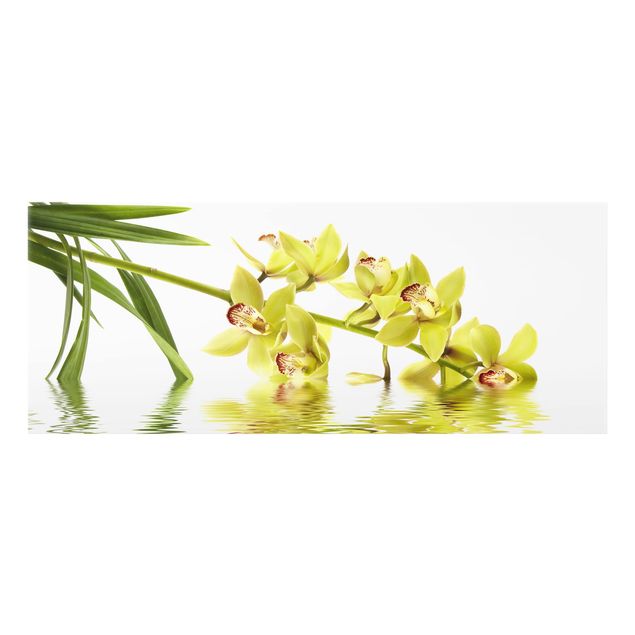 Painel anti-salpicos de cozinha Elegant Orchid Waters